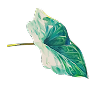 Eternia Icon